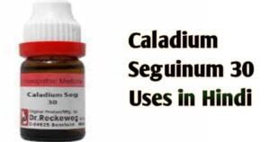 Caladium Seguinum 30 uses in hindi
